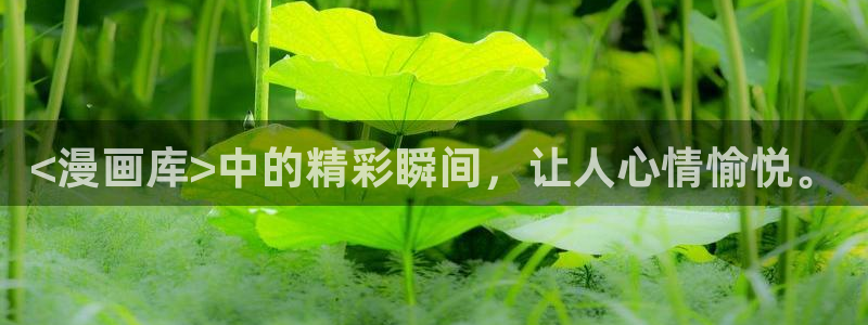 喵趣漫画的平替是什么漫画：<漫画库>中的精彩瞬间，让人心情愉悦。