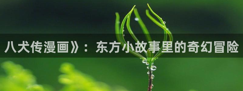 喵趣.：八犬传漫画》：东方小故事里的奇幻冒险